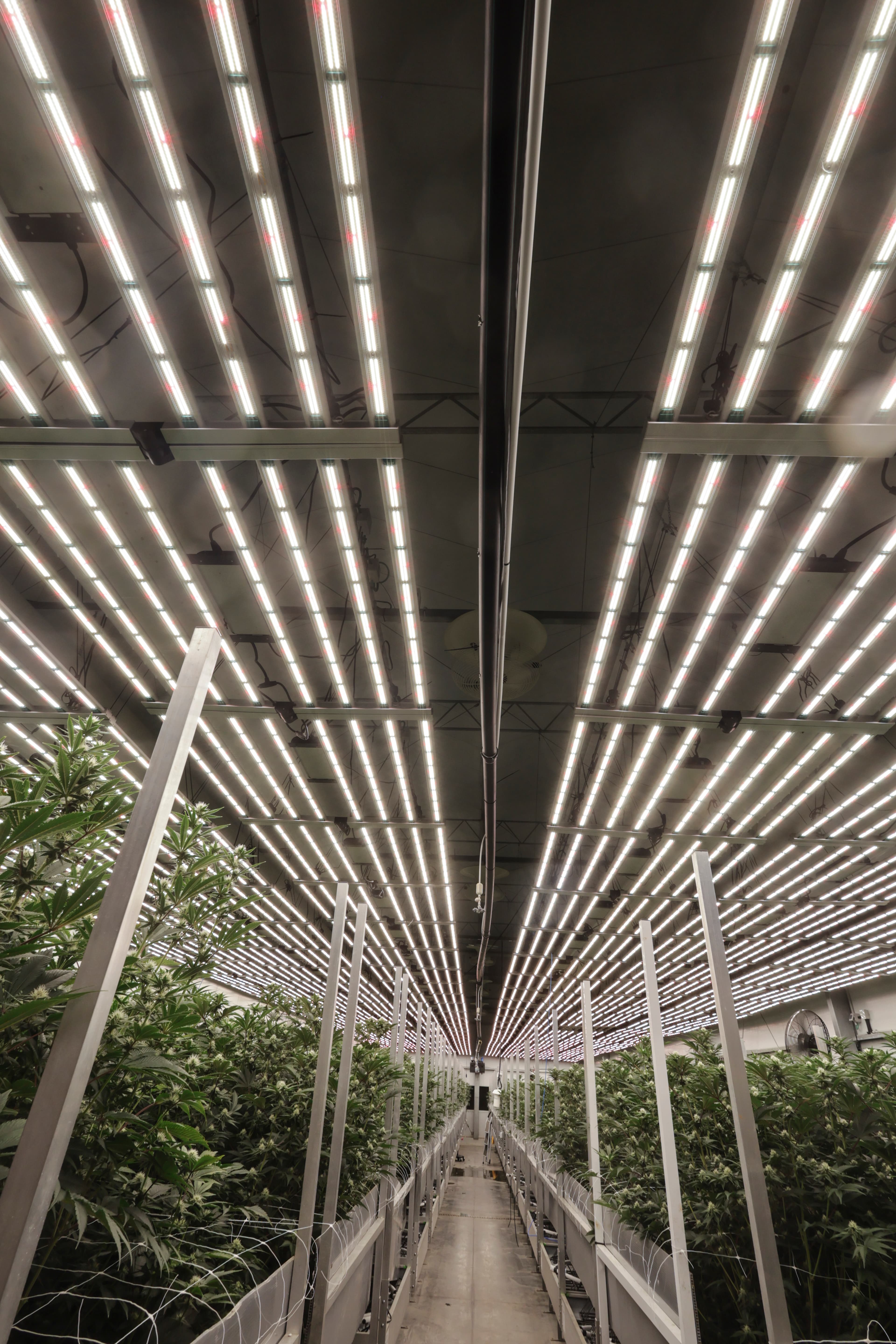 Panoramic facility view