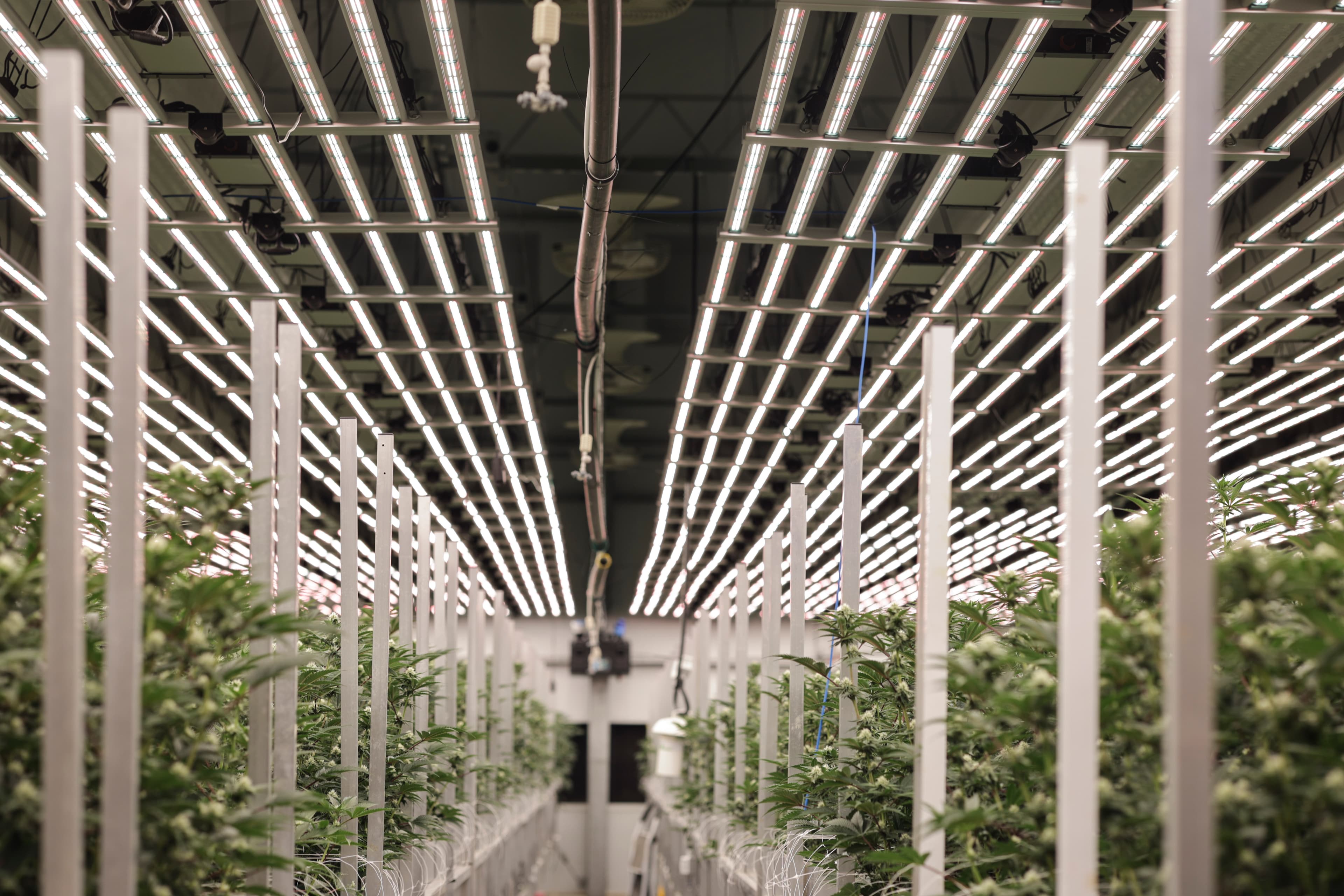 Garcia indoor cultivation facility