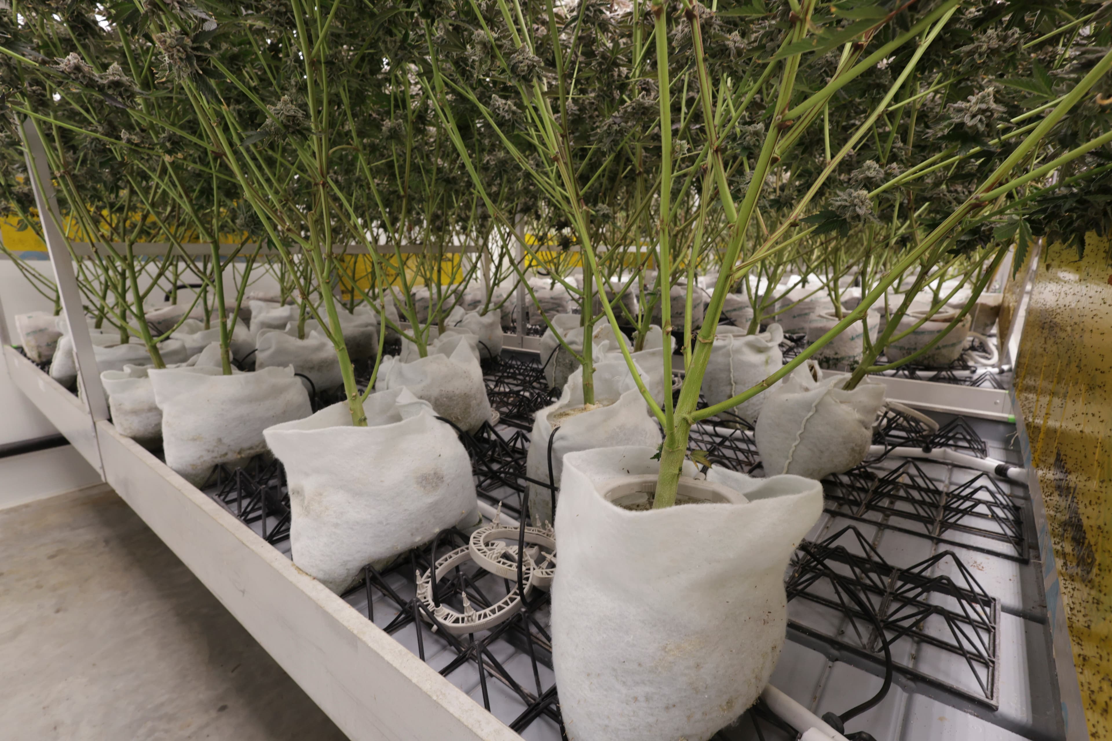 Environmental control systems