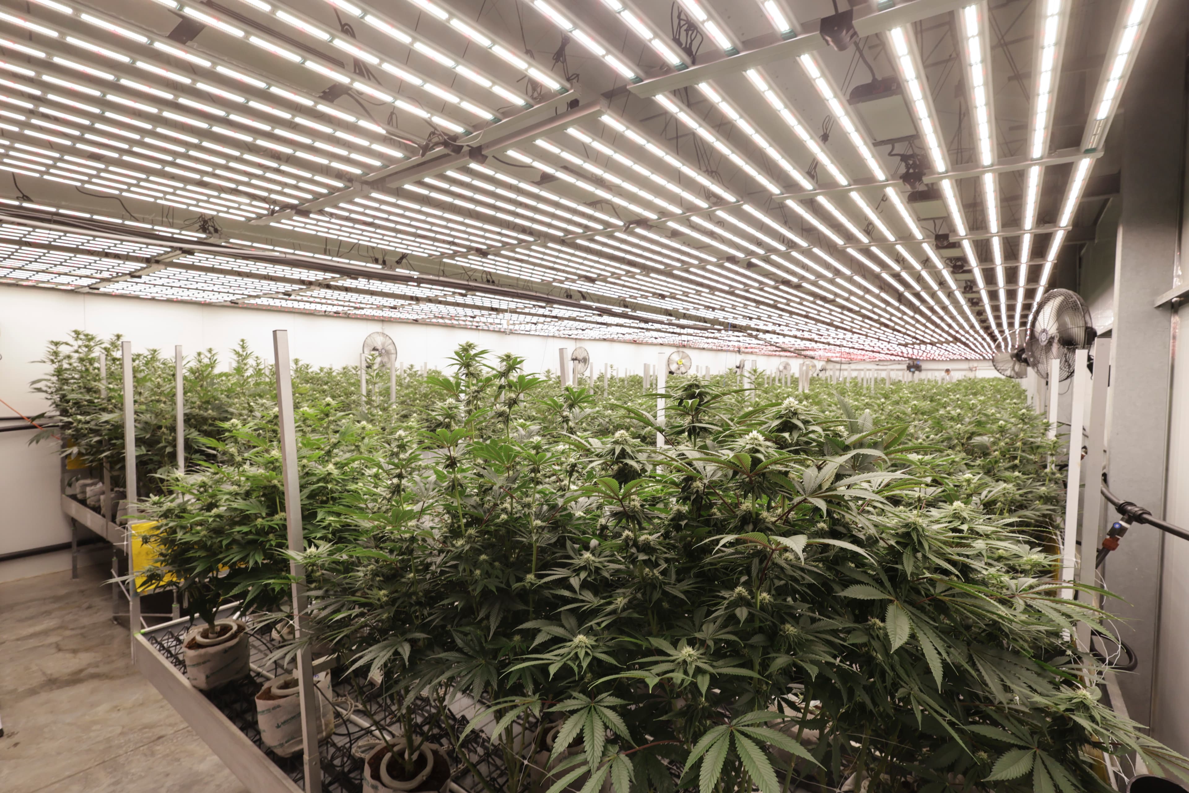 Sealed cultivation rooms