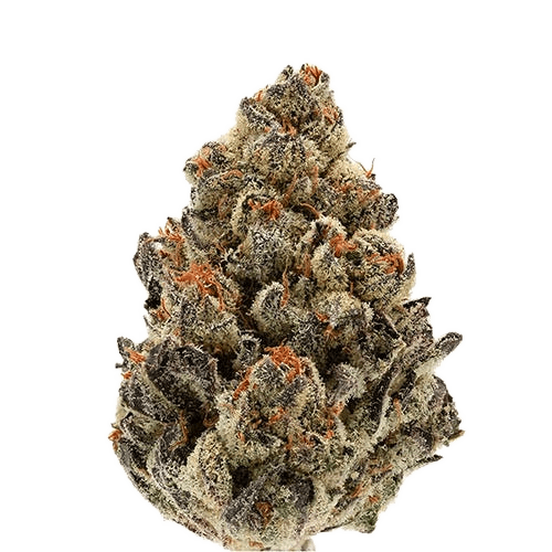 Sherry Gelato cannabis strain