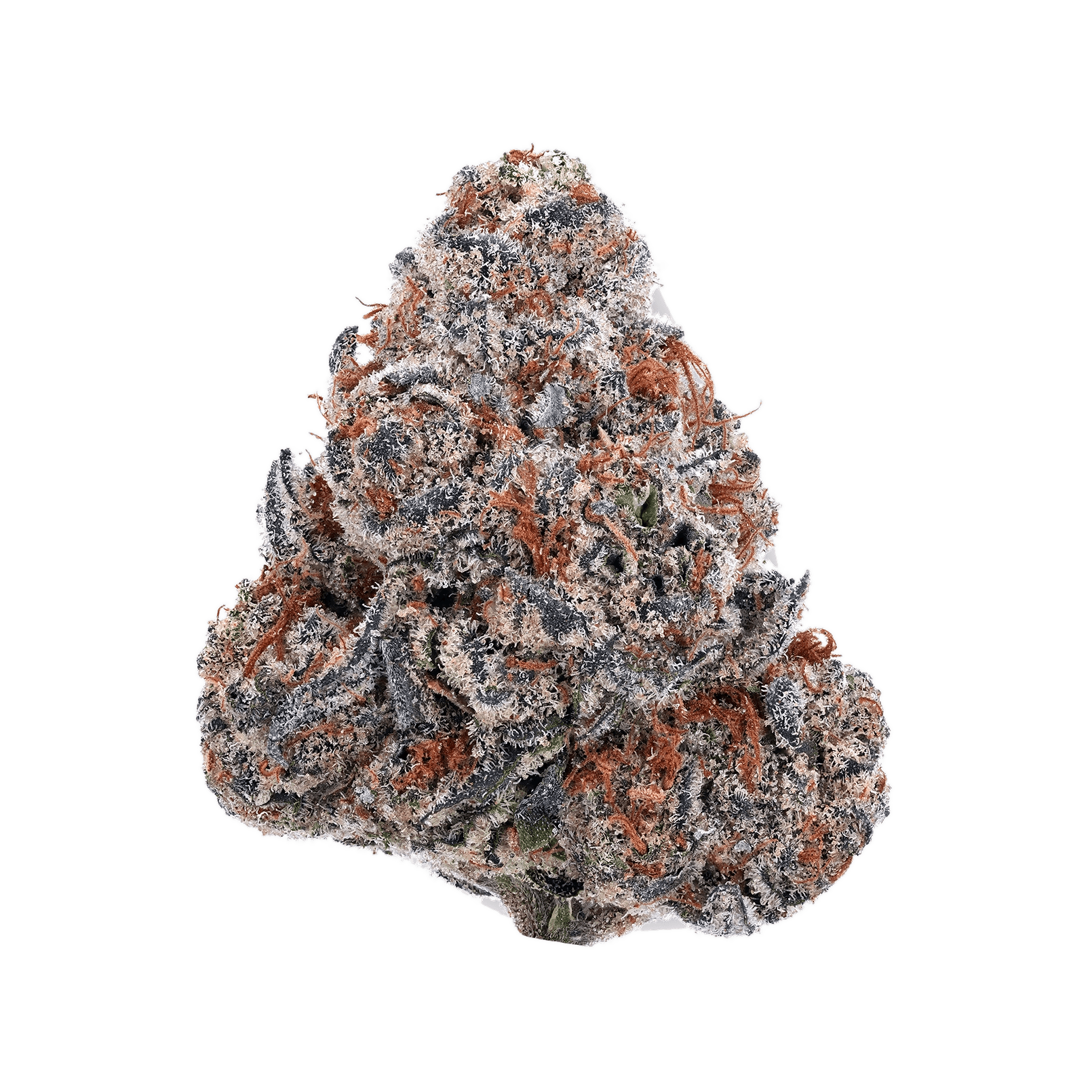 Crasher Punch cannabis strain